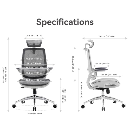 Ergonomic Office Chair with Flip-up Armrests and Lumbar Support K7