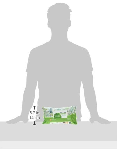 Baby Wipes Unscented 64 Count Case of 12 Packs k7