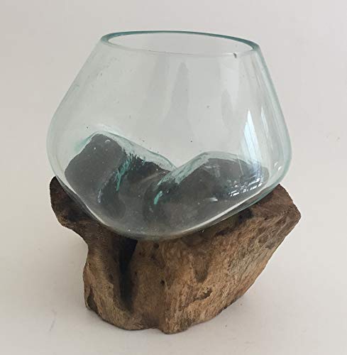 Glass Terrarium Vase Fish Bowl 6-7 Inch a7