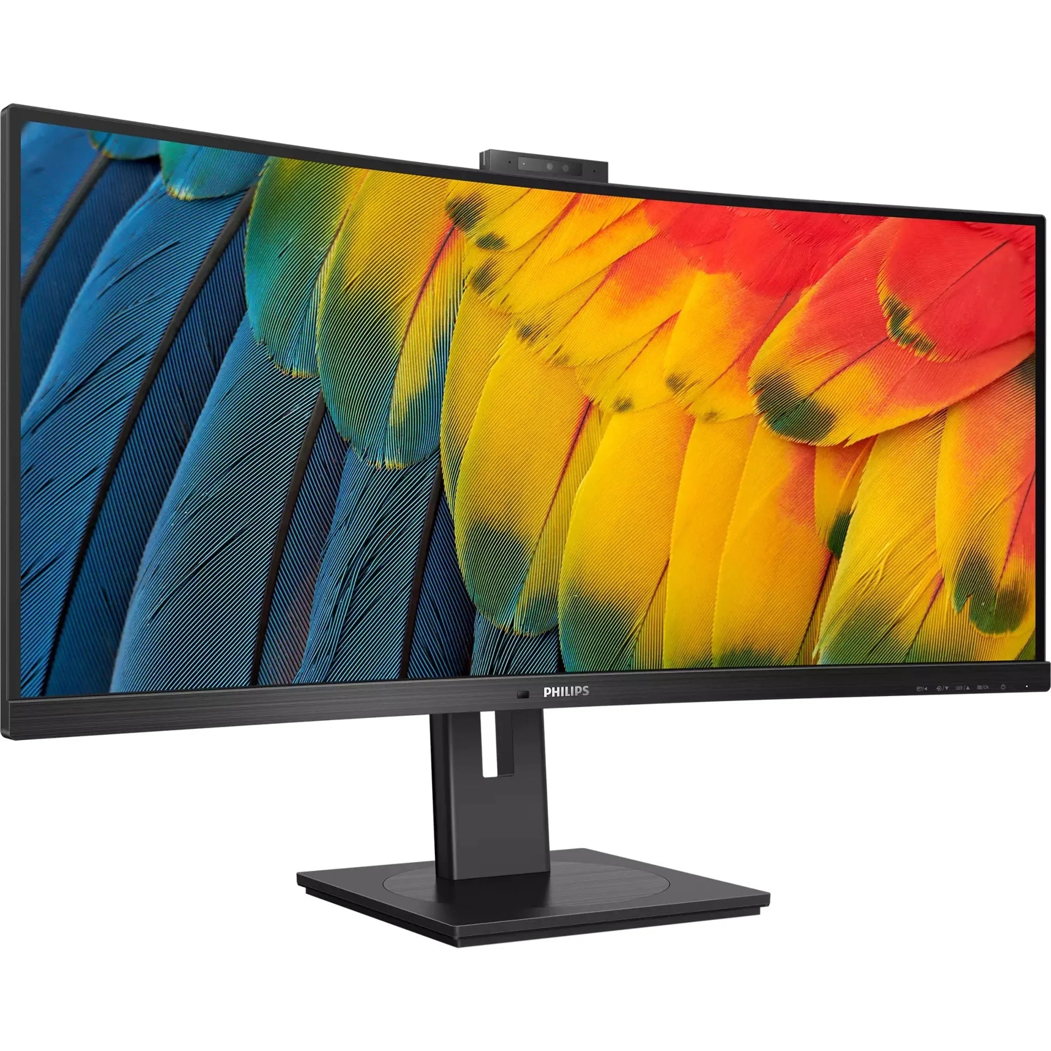 Philips Ultrawide 34B1U5600CH 34" Class Webcam UW-QHD Curved Screen LCD Monitor - 21:9 - Textured Black - 34" Viewable - Vertical Alignment (VA) - WLED Backlight - 3440 x 1440 - 16.7 Million Colors... - Curated Treasures Market