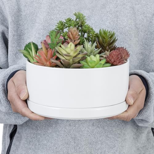 Ceramic Plant Pot with Drainage Hole and Tray 7 Inch a3