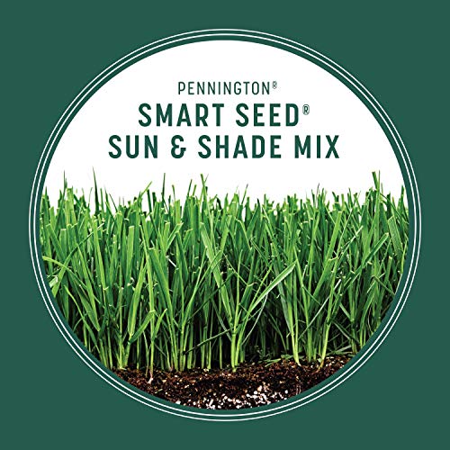 Grass Seed Sun and Shade Mix 20 lb K7