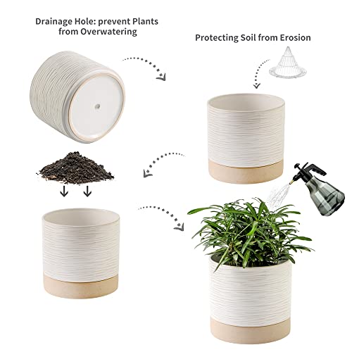 Ceramic Self-Watering Planter 6 Inch with Drainage Hole White Black 7k