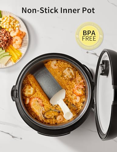 Compact Rice Cooker 6-in-1 Stainless Steel Multi Cooker 2QT A7