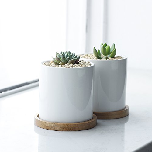 Small White Ceramic Succulent Pots with Bamboo Tray, Set of 2 k7