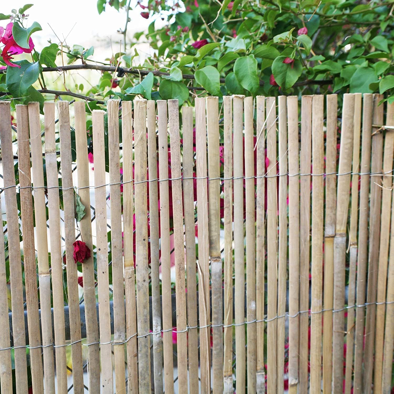 Bamboo Fence Panel for Garden Privacy 6x6 ft a7
