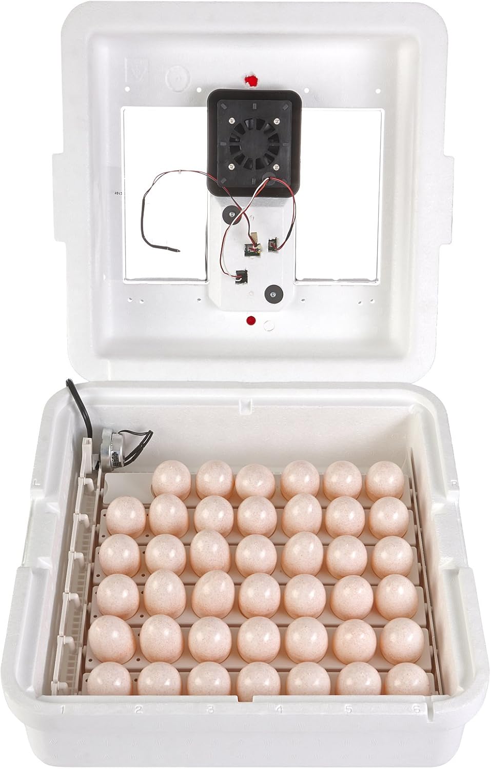 Digital Circulated Air Incubator 41 Eggs with Fan and Humidity Control k7