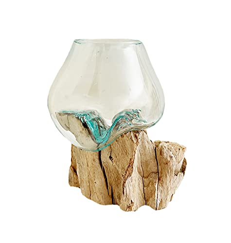 Glass Terrarium Vase Fish Bowl 6-7 Inch a7