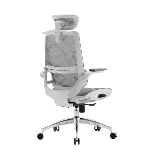 Ergonomic Office Chair with Flip-up Armrests and Lumbar Support K7