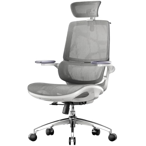 Ergonomic Office Chair with Flip-up Armrests and Lumbar Support K7