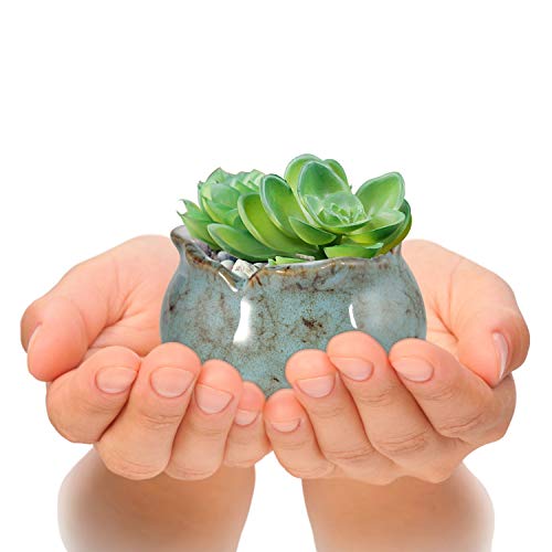 Succulent Pots 4 Inch Ceramic Planters with Bamboo Tray, Pack of 6 k7