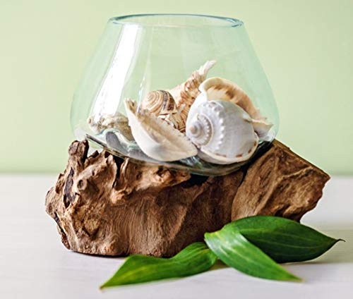 Hand Blown Molten Glass & Teak Wood Terrarium/Vase/Fish Bowl - Premium Quality (6" - 7" High)