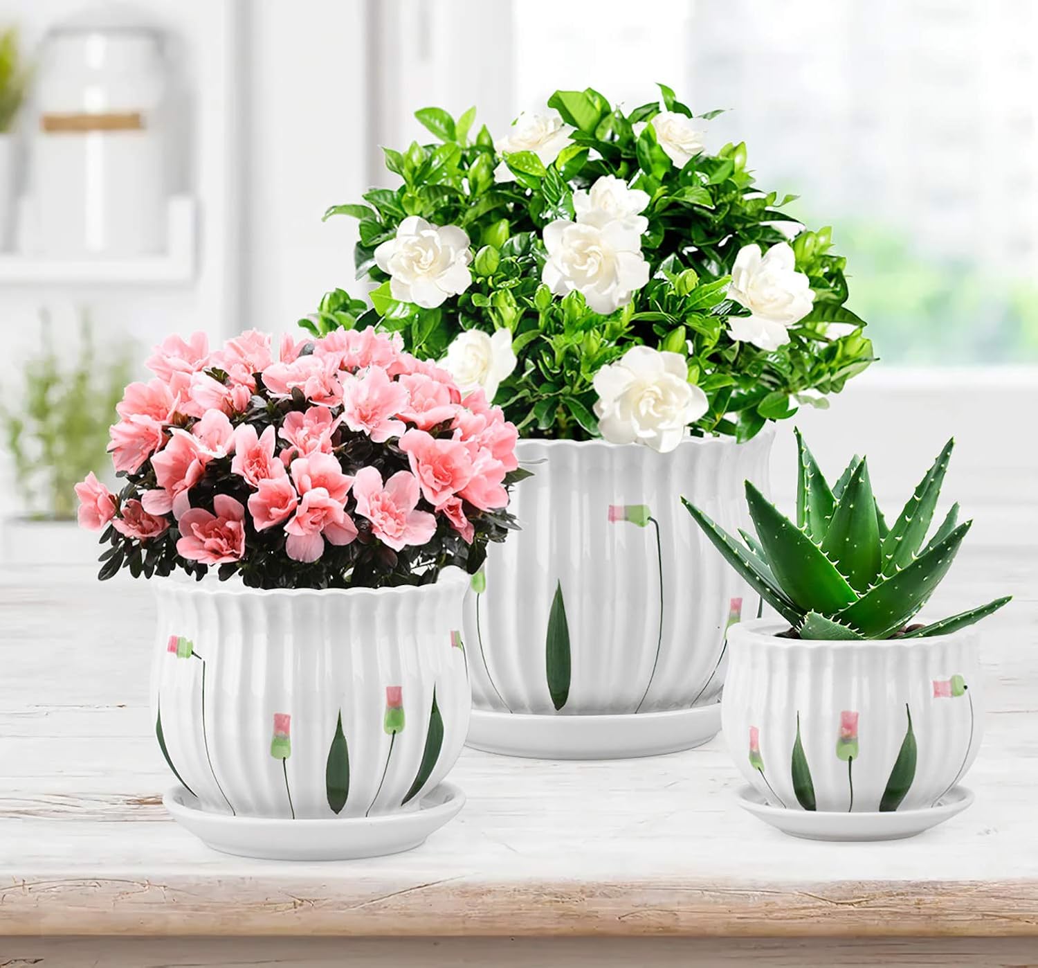 Ceramic Plant Pots Set of 3 with Saucers a7