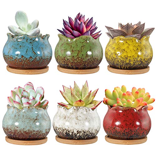 Succulent Pots 4 Inch Ceramic Planters with Bamboo Tray, Pack of 6 k7