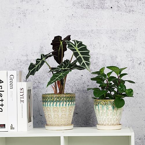 Ceramic Planter with Drainage Hole and Saucer, Set of 2 k7