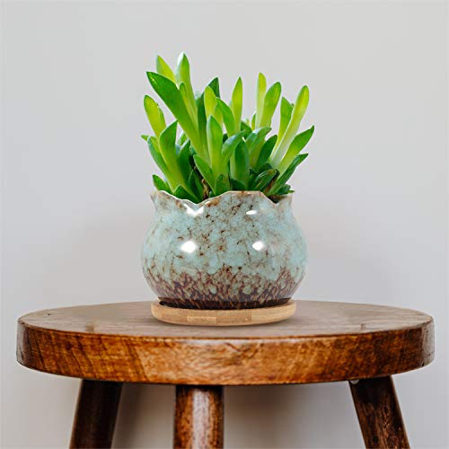 Succulent Pots 4 Inch Ceramic Planters with Bamboo Tray, Pack of 6 k7