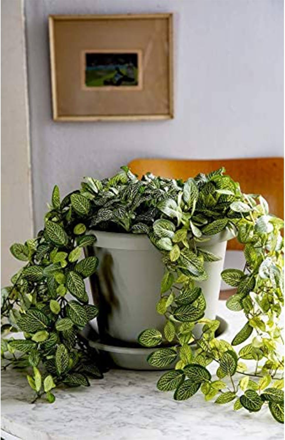 Plastic Flower Pot with Drainage Holes, 2 Pack 7k