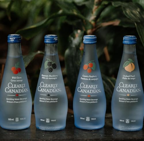 Sparkling Water Blackberry 11oz K7