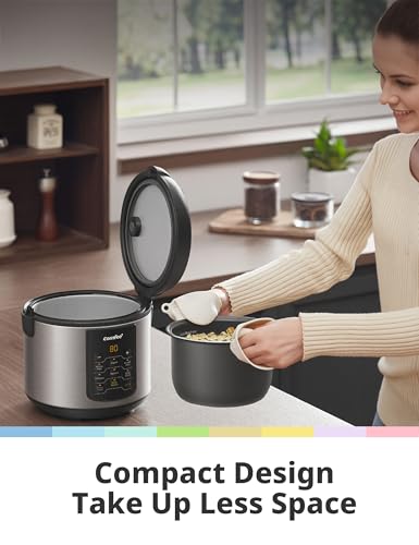 Compact Rice Cooker 6-in-1 Stainless Steel Multi Cooker 2QT A7