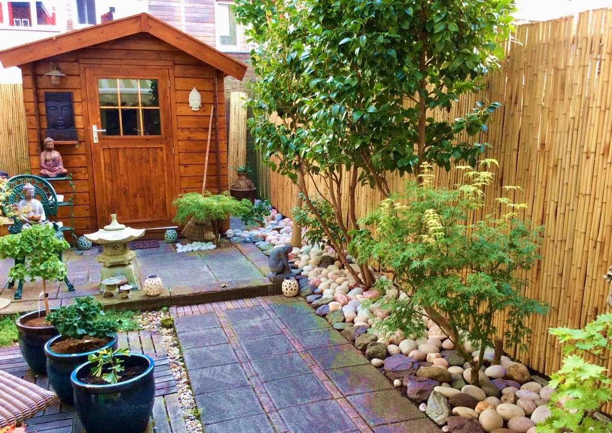 Natural Reed Fence 5x14 ft a7