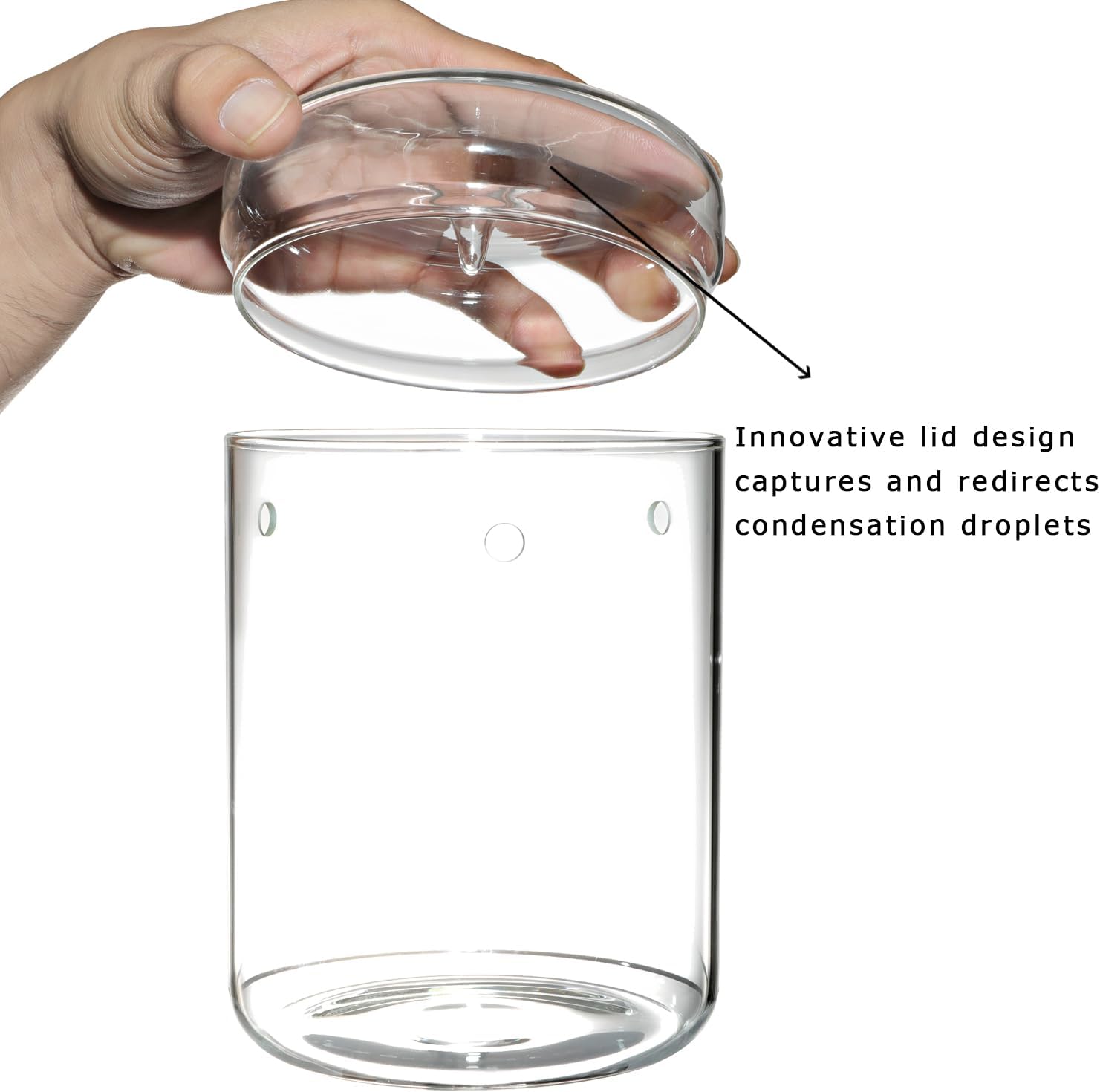 Glass Plant Terrarium 4.7x7in with Lid a9