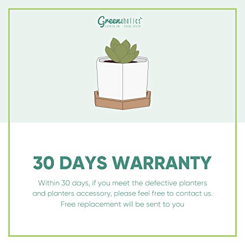 Small White Ceramic Succulent Pots with Bamboo Tray, Set of 2 k7
