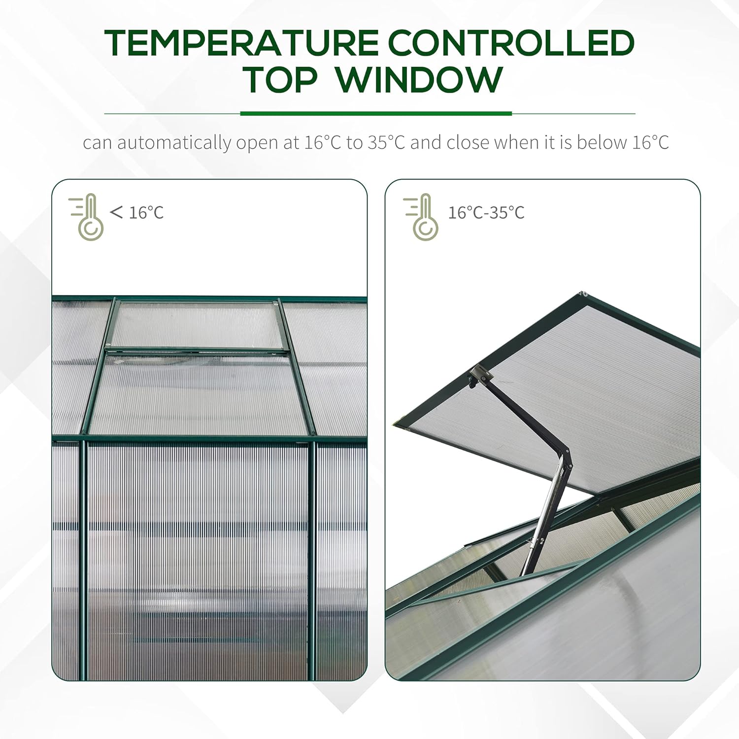 Polycarbonate Walk-in Greenhouse 6x8x7 A9