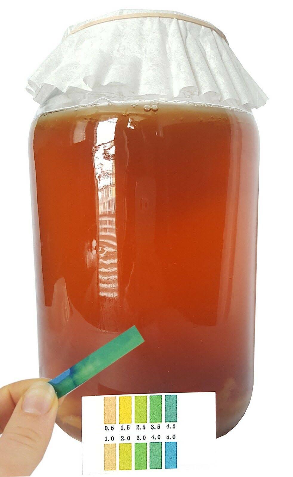 Kombucha Starter Kit with SCOBY and Glass Jar 7x