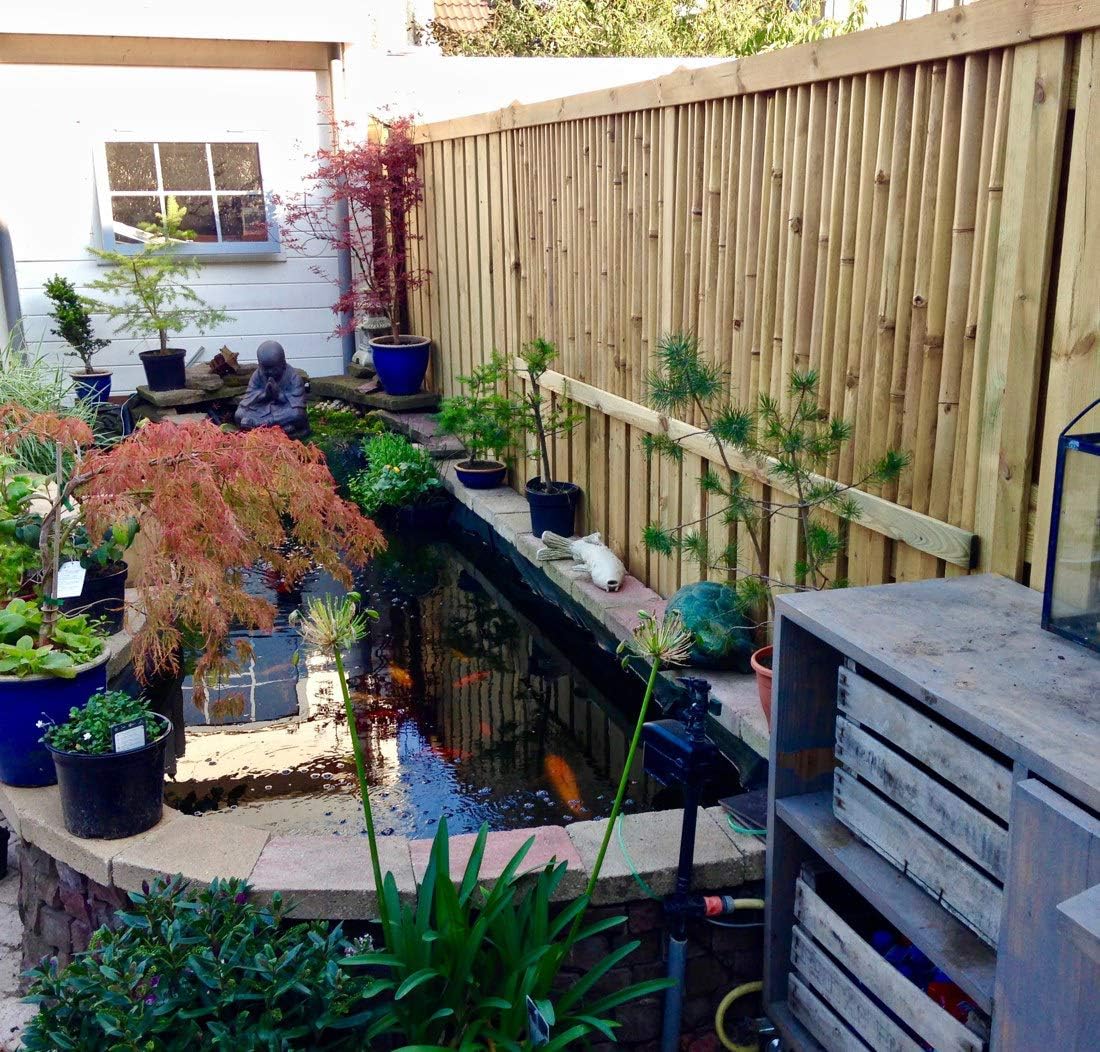 Natural Reed Fence 5x14 ft a7