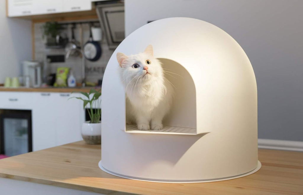 Cat Litter Box Dome Extra Large Modern Minimalist A7