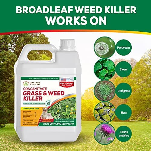 Weed Killer Concentrate Spray, Pet Safe & Organic Herbicide Q7