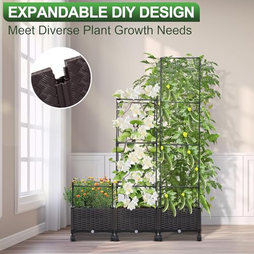 Garden Bed Planter Box with Trellis 63in Tomato Cage a7