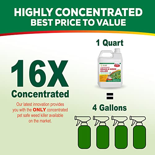Weed Killer Concentrate Spray, Pet Safe & Organic Herbicide Q7