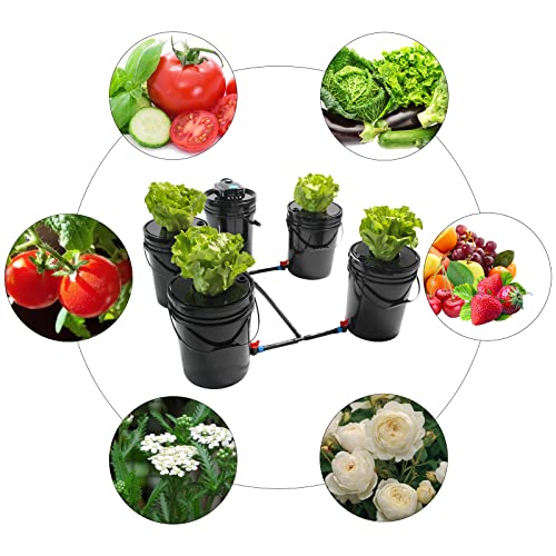 Hydroponics Growing System 5 Gallon Bucket k7