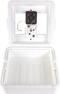 Little Giant® Digital Circulated Air Incubator | 41 Eggs | Egg Incubator with Fan, Temperature and Humidity Control | Hatching Eggs