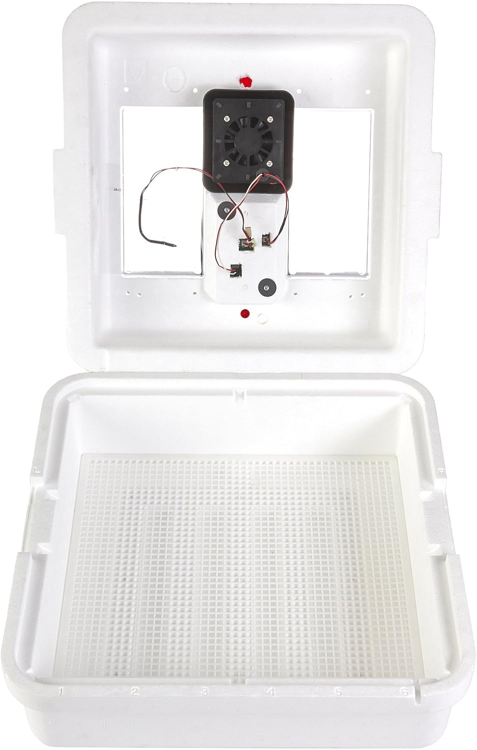Little Giant® Digital Circulated Air Incubator | 41 Eggs | Egg Incubator with Fan, Temperature and Humidity Control | Hatching Eggs