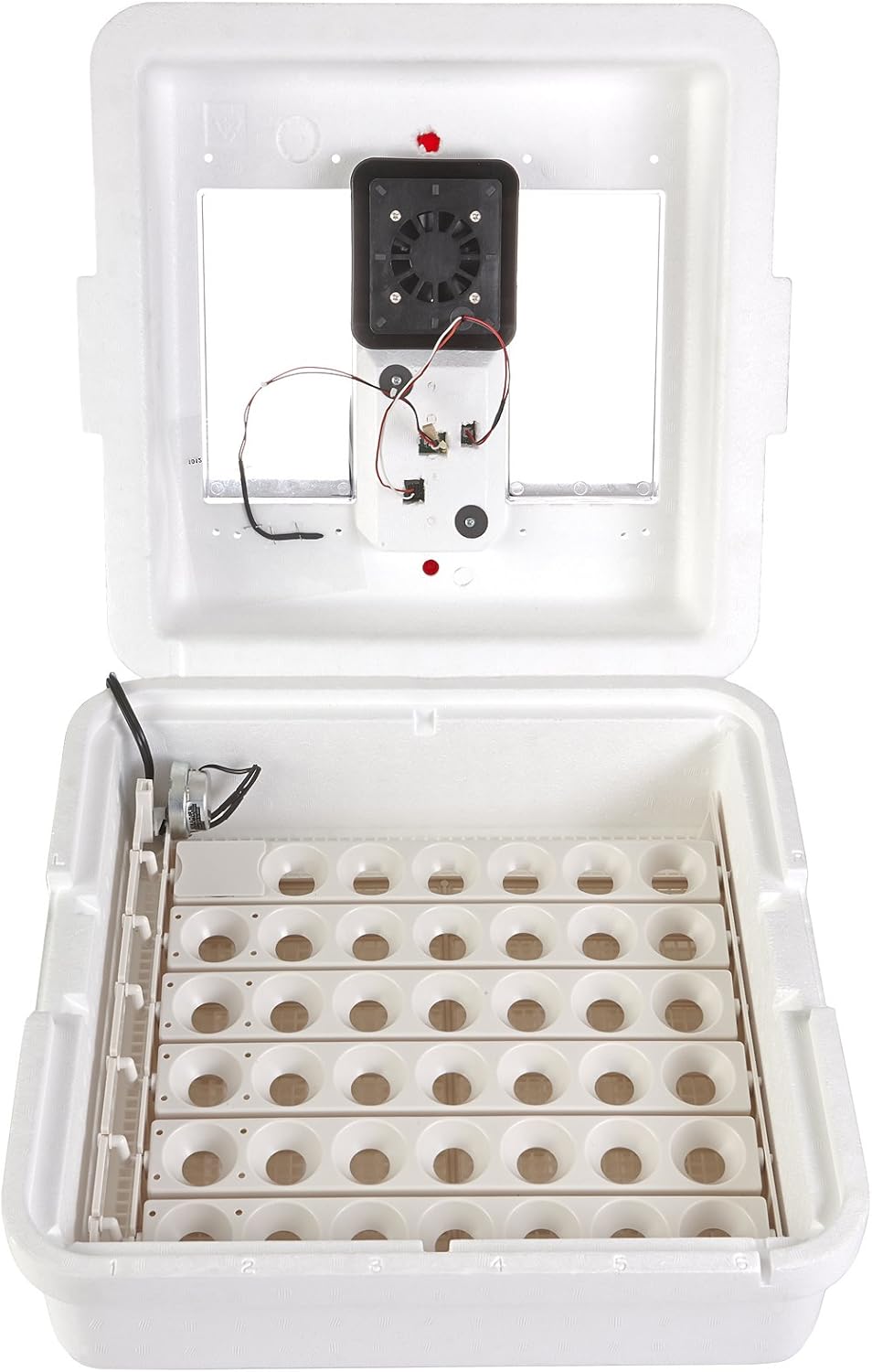 Digital Circulated Air Incubator 41 Eggs with Fan and Humidity Control k7