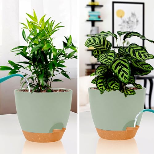 Self Watering Planters for Indoor Plants with Saucer Reservoir 7k