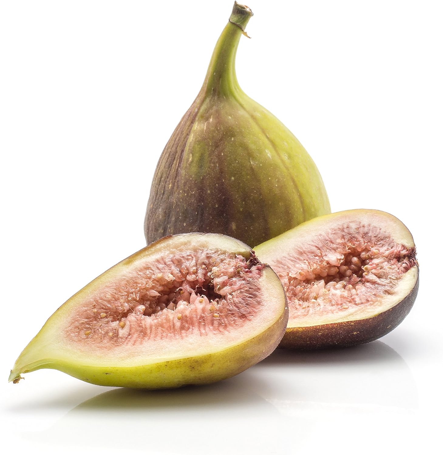 Brown Turkey Fig Tree Self-Pollinating Sweet Fruit a7