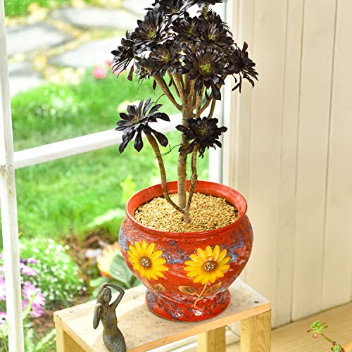 Ceramic Planter Pot with Drainage Hole, 9 Inch Hand Painted Clay Pot k7