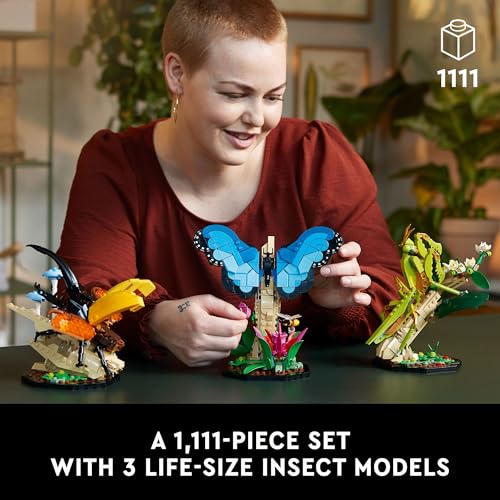 Insect Collection Building Set with Butterfly and Beetle Models k7p