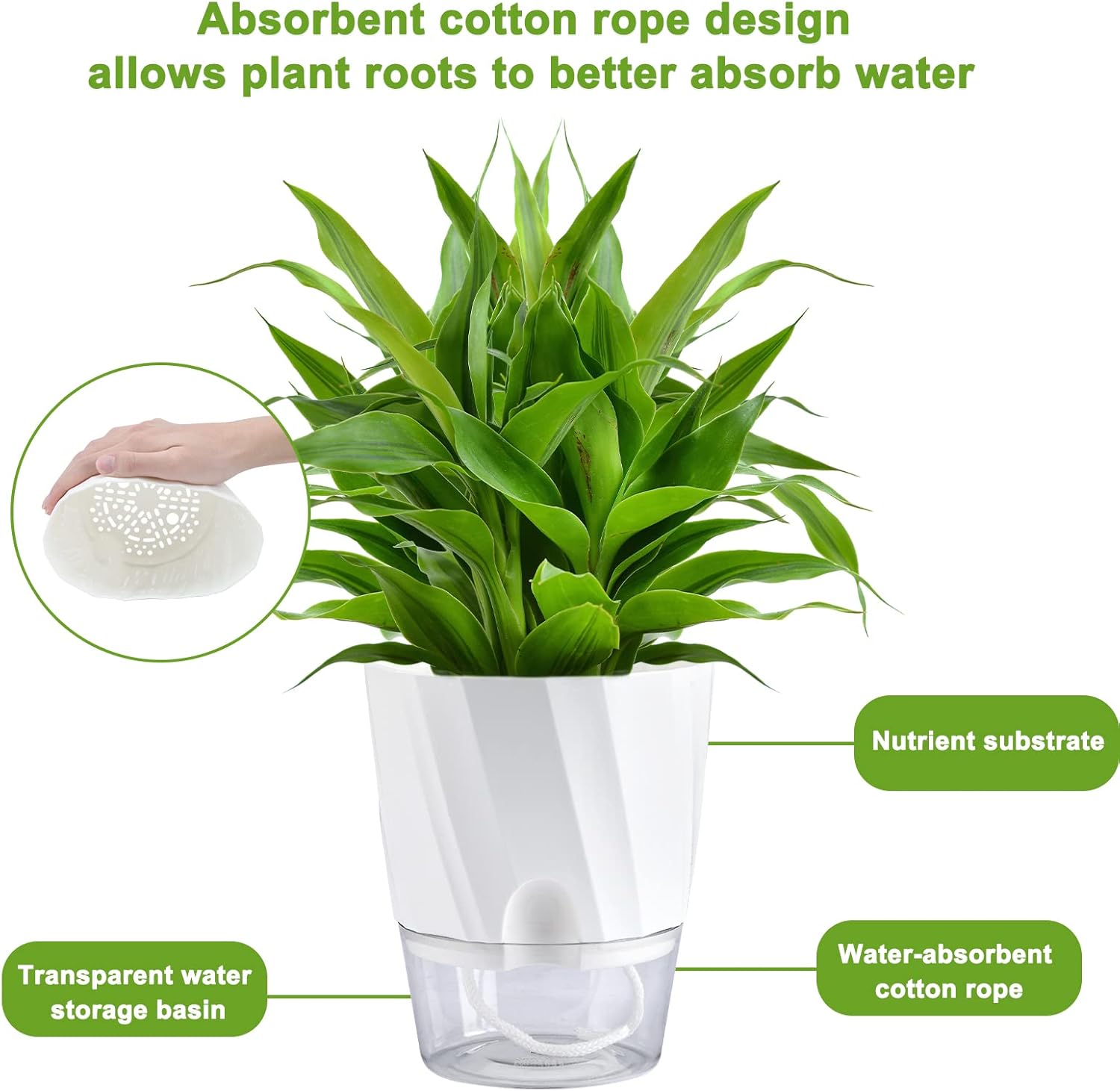 Self Watering Pots for Indoor Plants 6 Pack White A7
