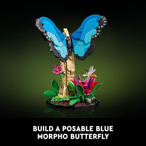 Insect Collection Building Set with Butterfly and Beetle Models k7p
