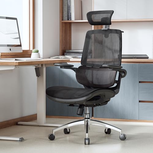 Ergonomic Office Chair with Flip-up Armrests and Lumbar Support K7