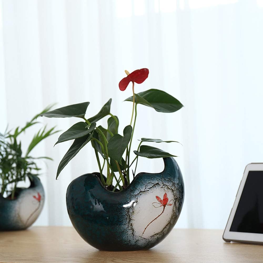 Egg Crack Planter Pot for Orchid Ceramic Succulent Indoor Teal Blue a7