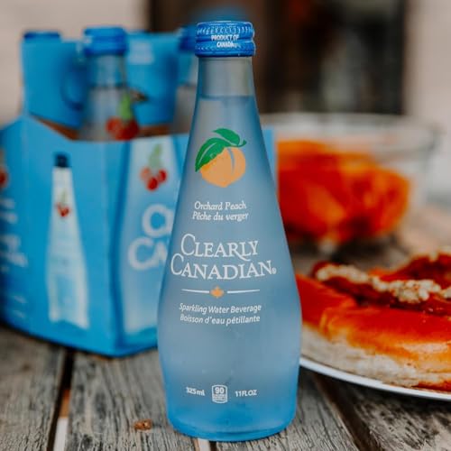 Sparkling Water Blackberry 11oz K7