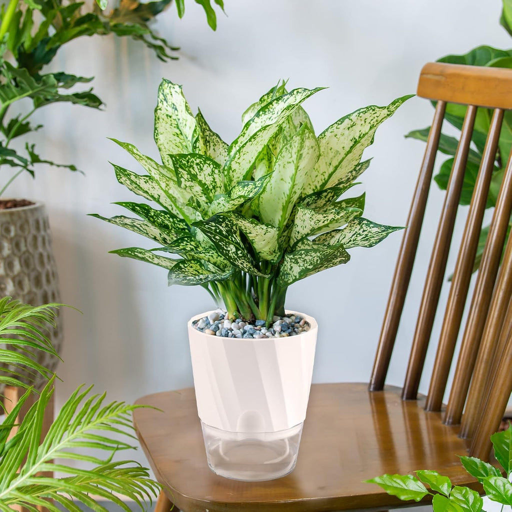Self Watering Pots for Indoor Plants 6 Pack White A7