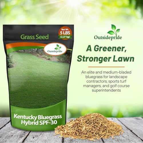 Bluegrass Lawn Grass Seed 5 lb a7