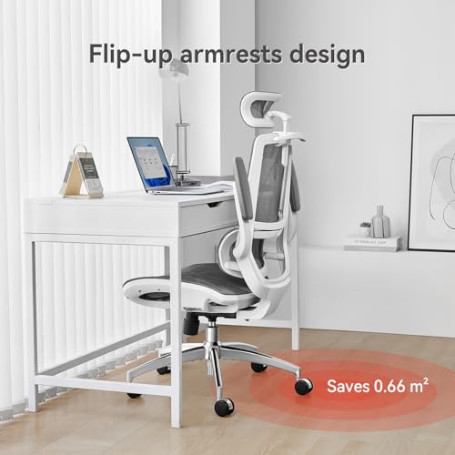 Ergonomic Office Chair with Flip-up Armrests and Lumbar Support K7