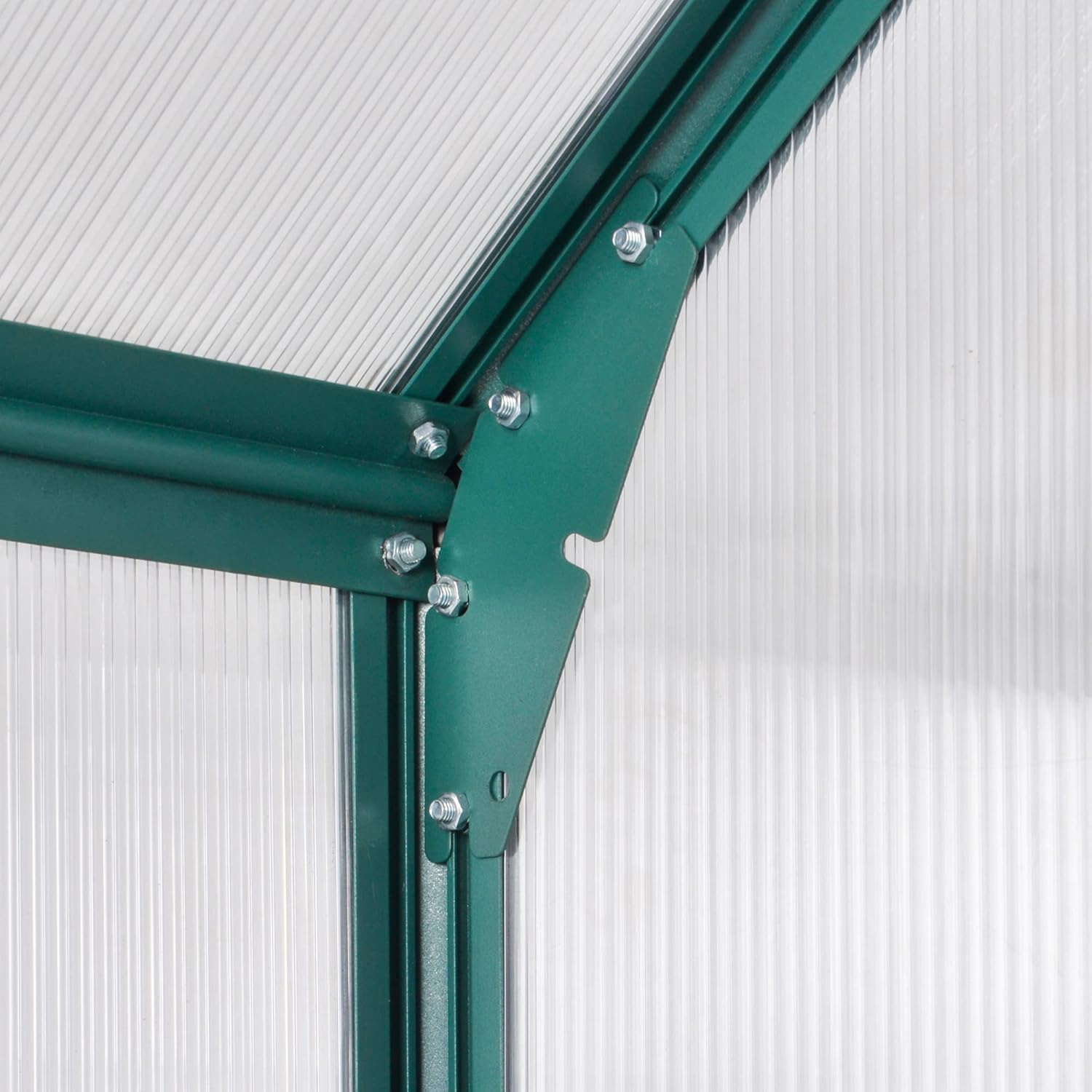 Polycarbonate Walk-in Greenhouse 6x8x7 A9